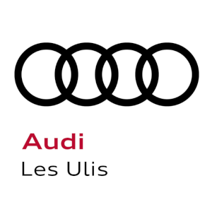 Audi Absolute voiture d'occasion