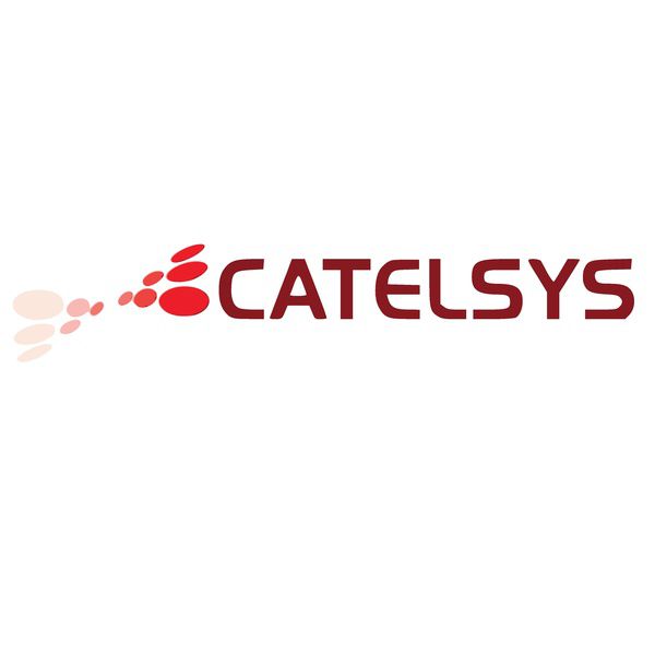 Catelsys réseaux informatiques