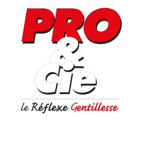 Pro & Cie Tv Electroménager Services Commerce Indépendant jeux vidéo (vente, location)