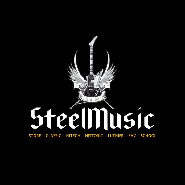 Steel Music cours de musique, cours de chant