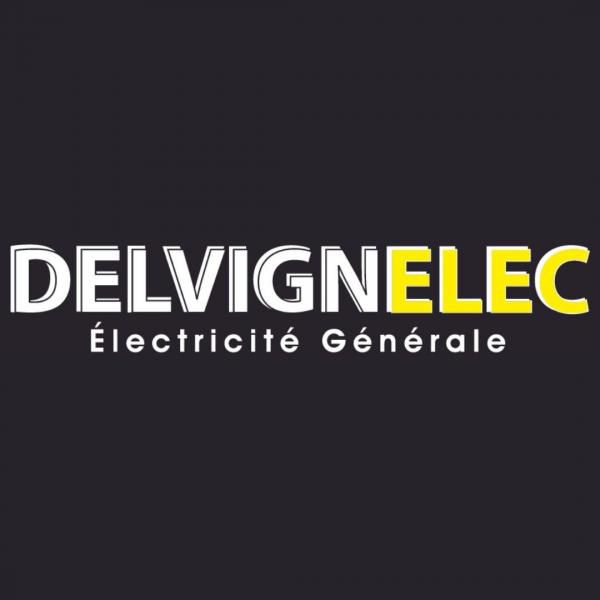 Delvignelec électricité (production, distribution, fournitures)