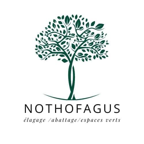 Nothofagus entrepreneur paysagiste