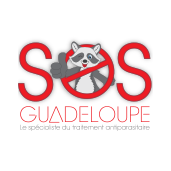 S O S Guadeloupe bois (détail)