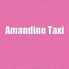 Amandine Taxi taxi