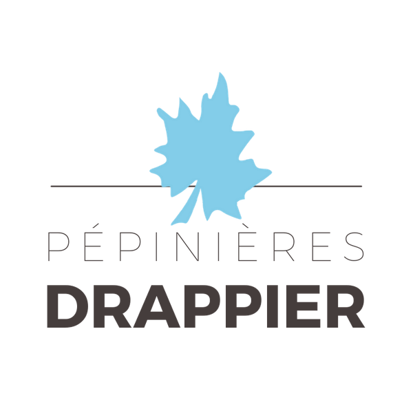 Pépinières Drappier pépiniériste