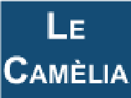 Le Camélia fleuriste