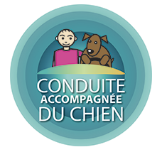 Conduite Accompagnée du Chien