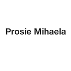 Prosie Mihaela radiologue (radiodiagnostic et imagerie medicale)