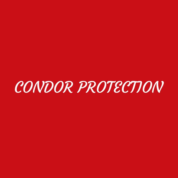 Condor Protection système d'alarme et de surveillance (vente, installation)