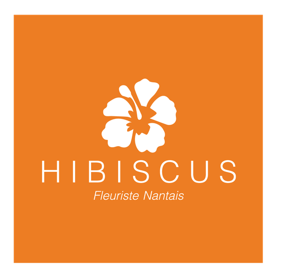 Hibiscus jardinerie, végétaux et article de jardin (détail)