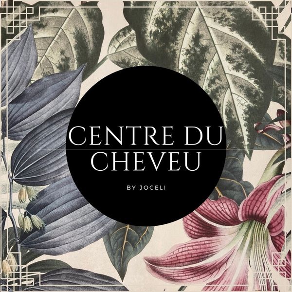 Centre Du Cheveu coiffure et esthétique (enseignement)