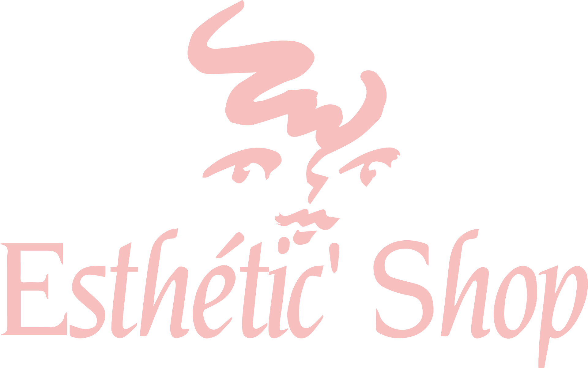 Esthetic Shop parfumerie et cosmétique (détail)