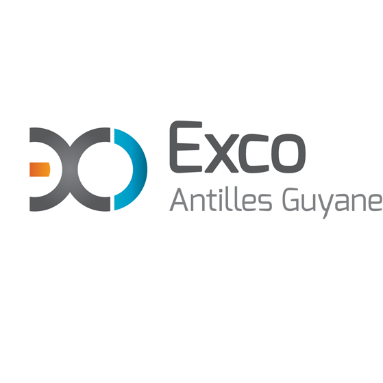 Exco Antilles Guyane commissaire aux comptes