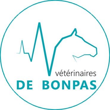 Vétérinaires De Bonpas vétérinaire