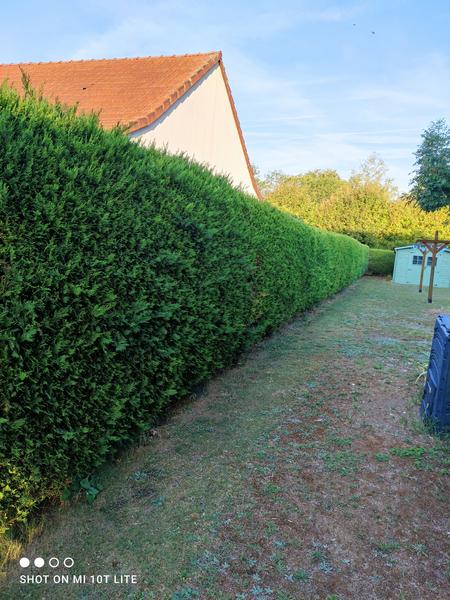 Schartier James jardinerie, végétaux et article de jardin (détail)