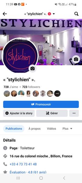 Stylichien toilettage de chien et chat