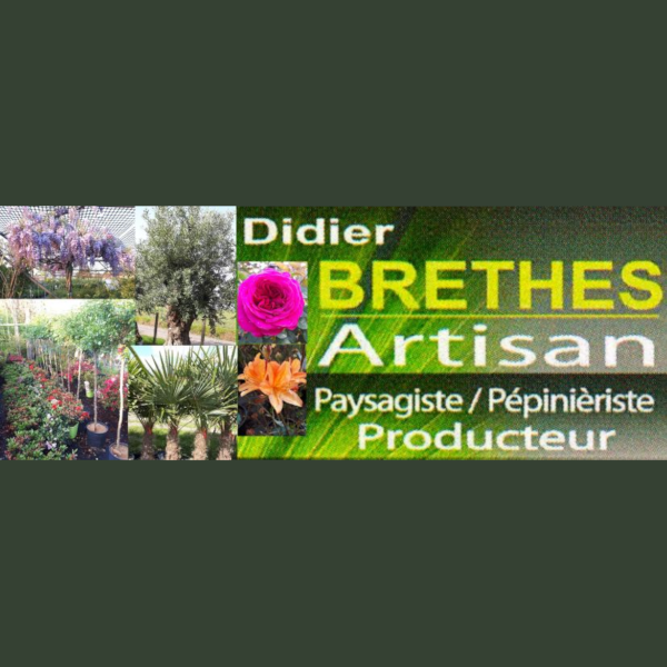 Brethes Didier entrepreneur paysagiste