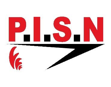 P . I . S . N . Protection Incendie Sécurité de Normandie protection contre l'incendie (matériel, installation, maintenance)