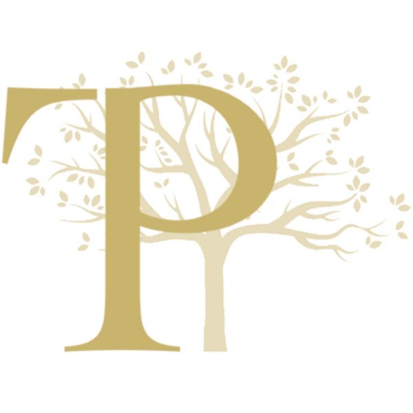 Tp Genealogie généalogiste
