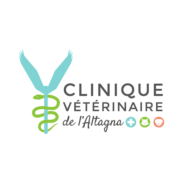 Clinique Veterinaire De L'Altagna