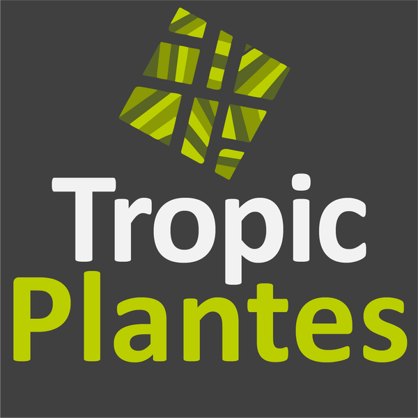 Tropic Plantes jardinerie, végétaux et article de jardin (détail)