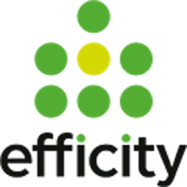 Rouillé Fabrice - Efficity agence immobilière