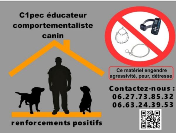 C1Pec - Comportementaliste Professionnel Éducation Canine