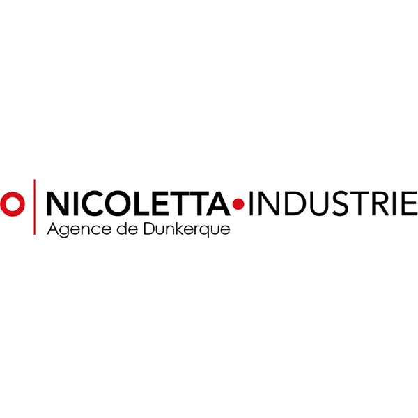 Nicoletta Industrie peintre (artiste)
