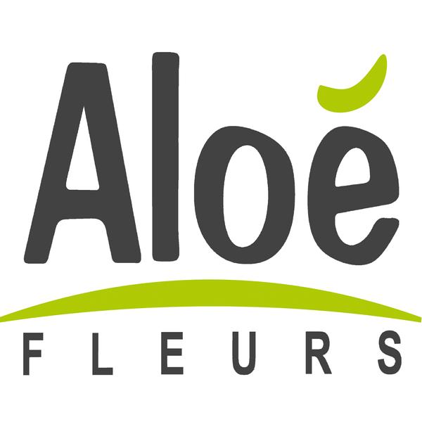 Aloé Fleurs décorateur