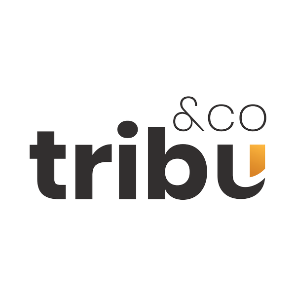 Tribu And Co Publicité, marketing, communication