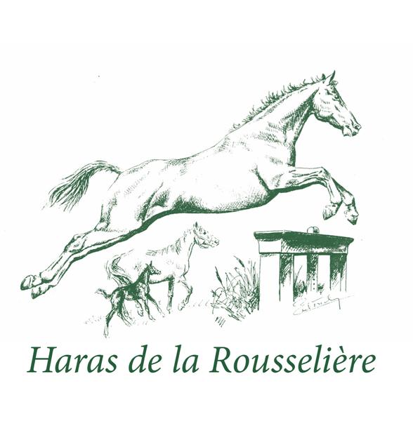 Haras de La Rousseliere haras, élevage de chevaux