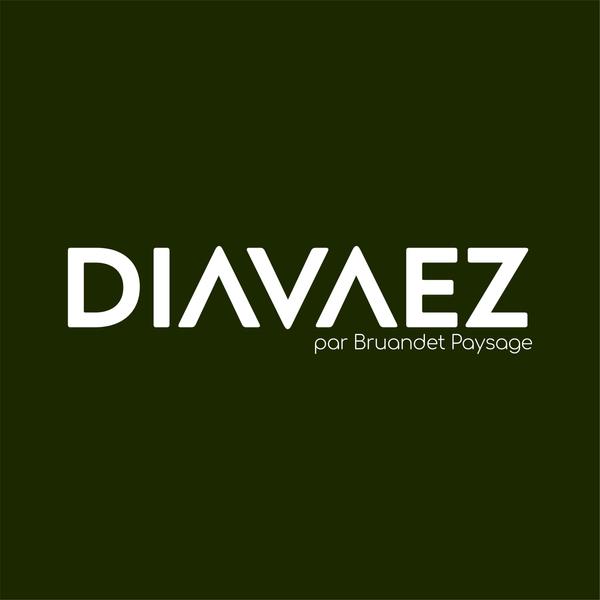 Diavaez par Bruandet Paysage