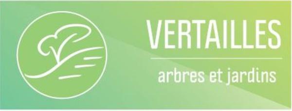 VERTAILLES Arbres et jardins entrepreneur paysagiste