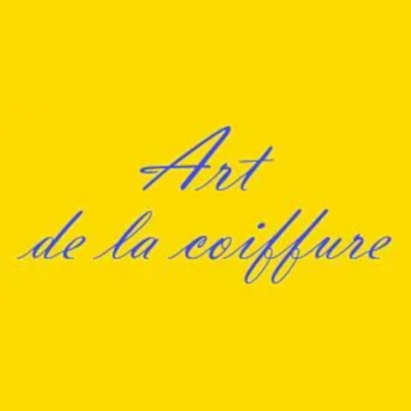 ART DE LA COIFFURE