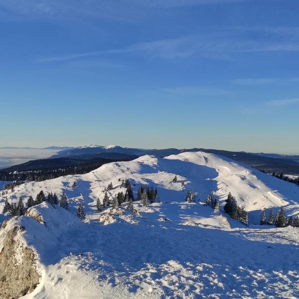 Pécoud Sport location de skis