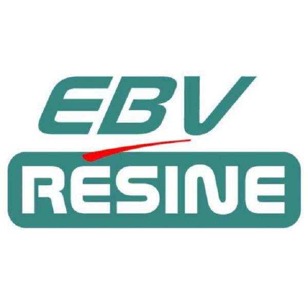 Ebv Resine Entreprise Vincent Bearzatto