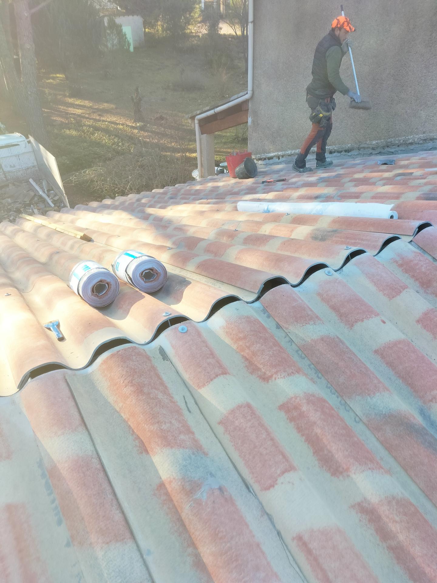 L.D Rénovation toiture toiture (démoussage, nettoyage et traitement)