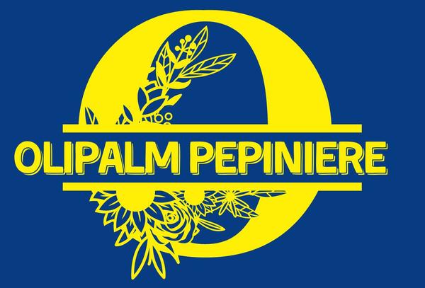 Olipalm pépiniére pépiniériste