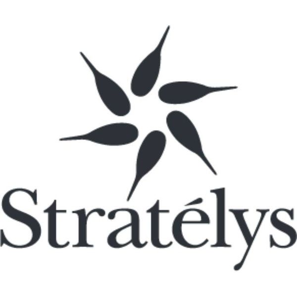 Stratelys conseil en organisation, gestion management