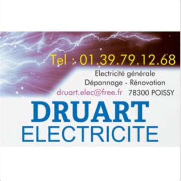 Druart Elisabeth électricité (production, distribution, fournitures)