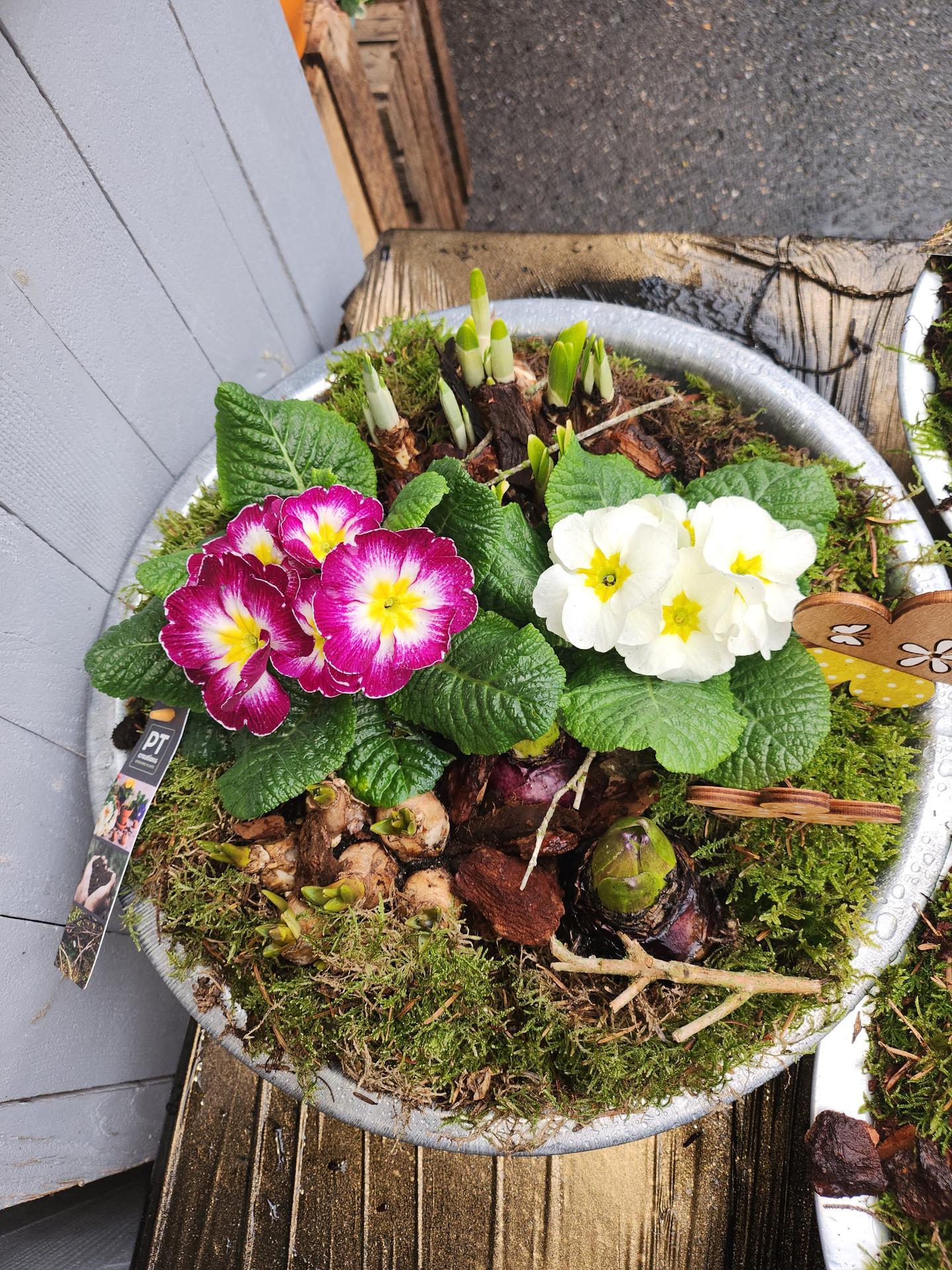 Au Jardin De Cecilia livraison de fleurs à domicile