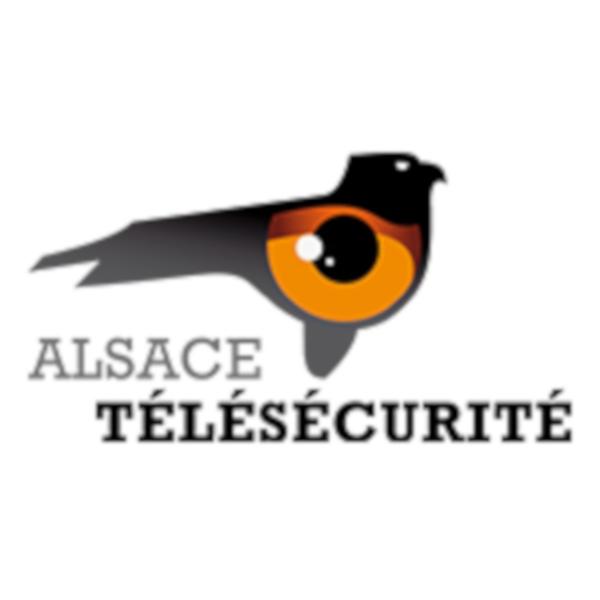 Alsace Télésécurité SARL système d'alarme et de surveillance (vente, installation)