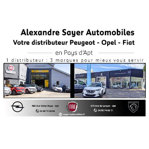 Alexandre Sayer Automobiles garage d'automobile, réparation