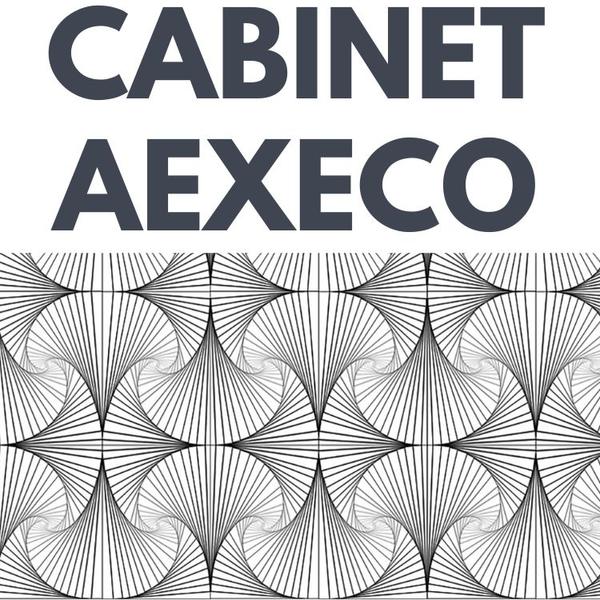 Cabinet AEXECO conseil départemental