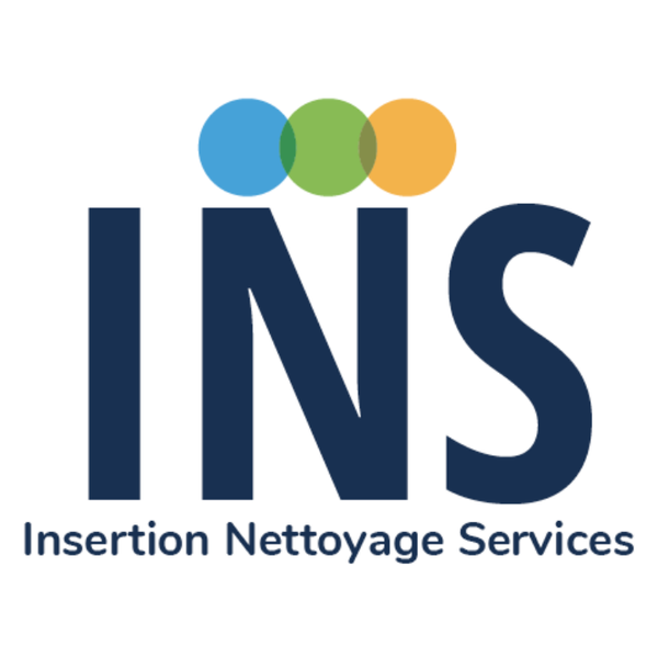 Insertion Nettoyage Et Services