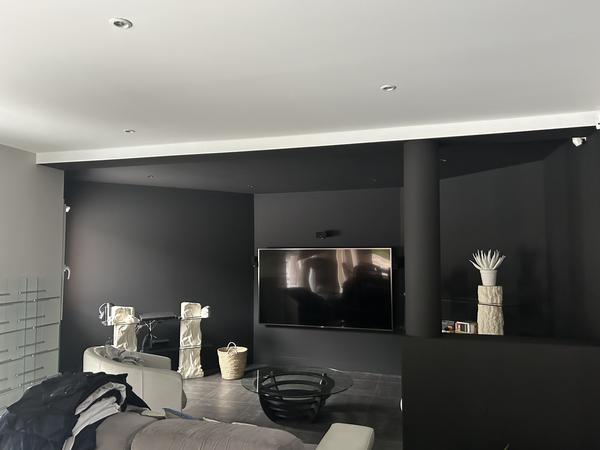 Guillet Eric peinture et vernis (détail)