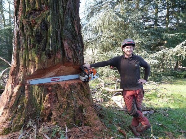 AGS - Arboriste Grimpeur Spécialisé entrepreneur paysagiste