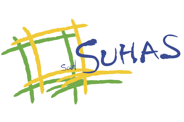 Suhas Peinture peintre (artiste)