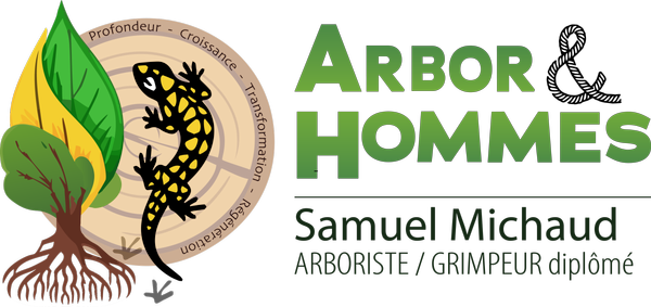 Arbor&Hommes entrepreneur paysagiste