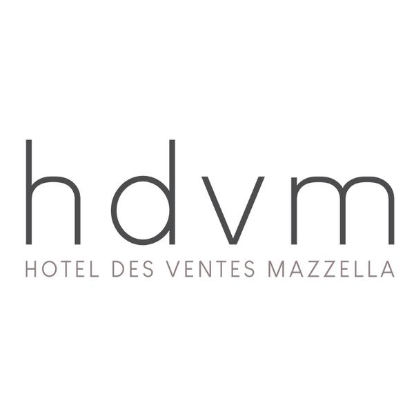 HDVM Hôtel Des Ventes Mazzella vente aux enchères publiques 